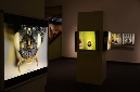 Wasp_exhibition__DSC3405